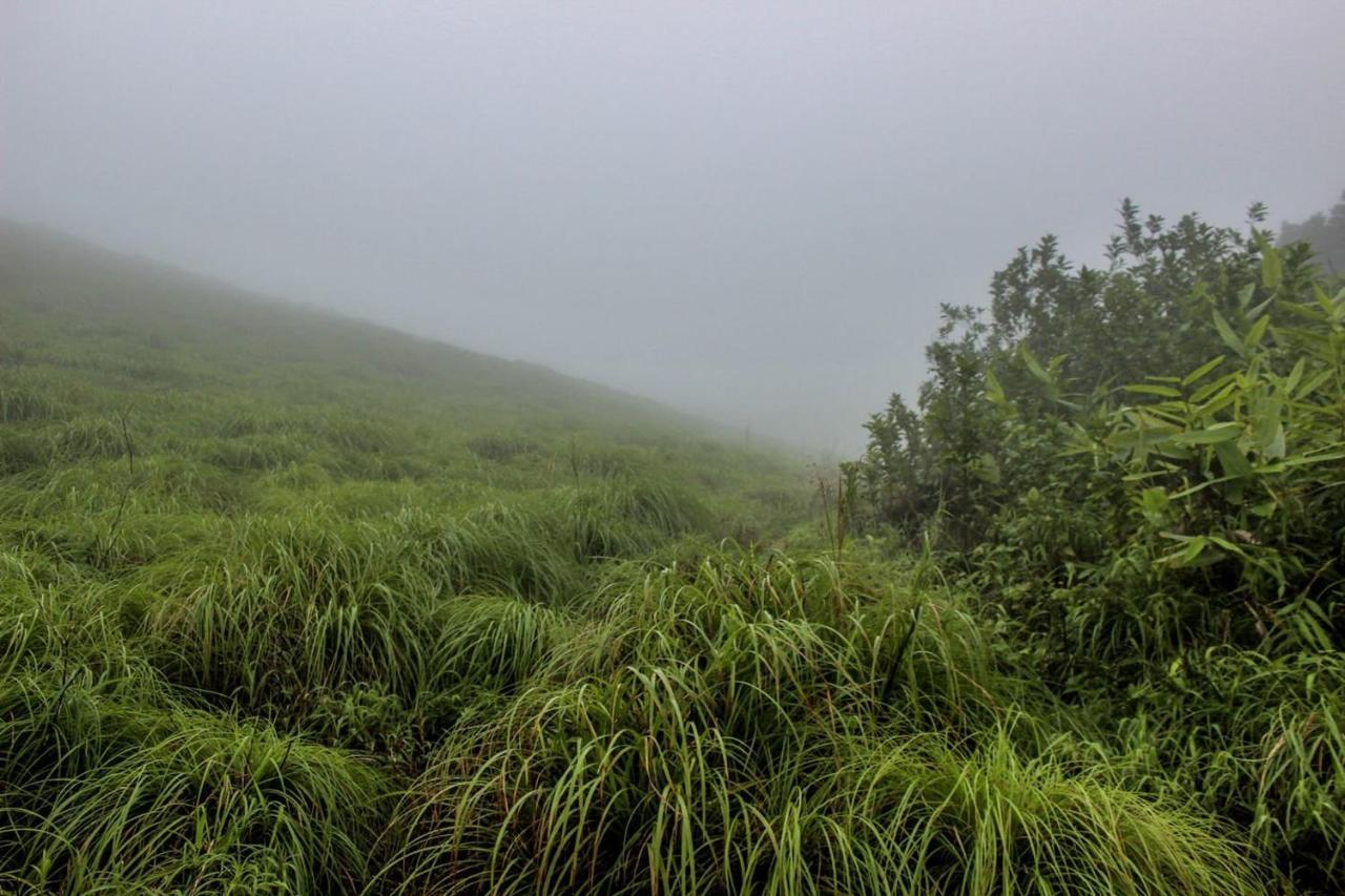 7Th Heaven Kannur Chakkarakkal Kültér fotó